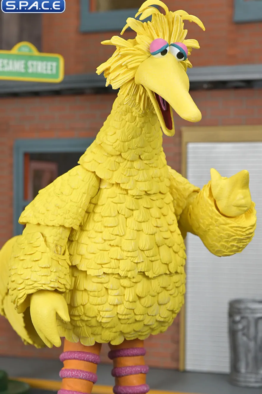 Ultimate Big Bird