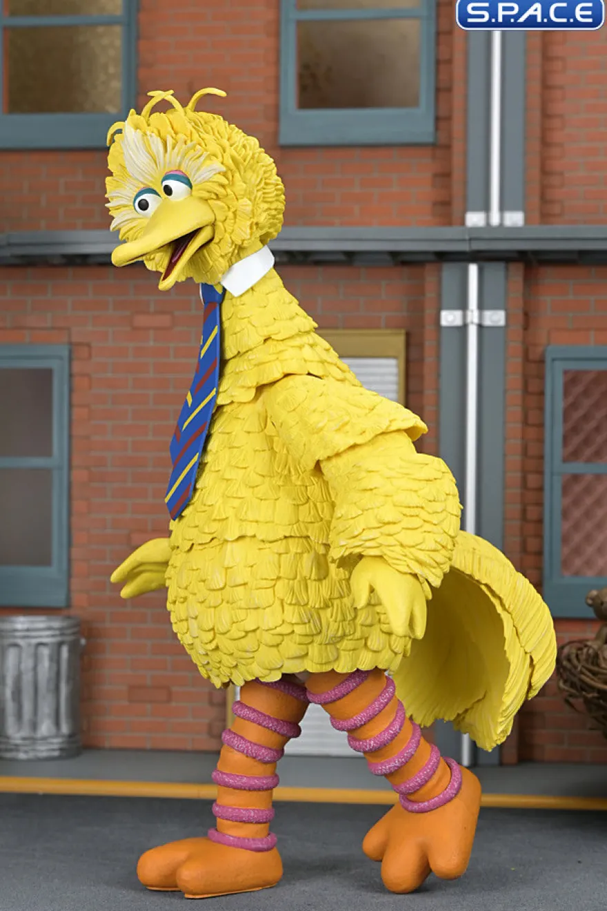 Ultimate Big Bird