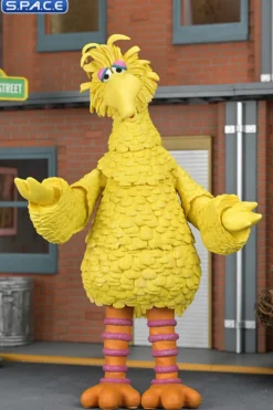 Ultimate Big Bird