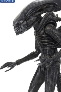 Ultimate Big Chap Alien