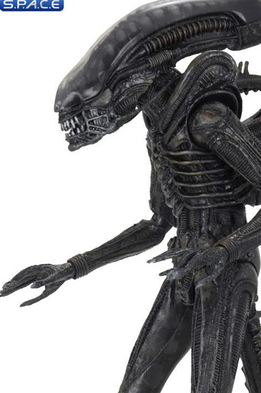 Ultimate Big Chap Alien