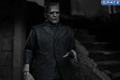 Ultimate Frankenstein's Monster
