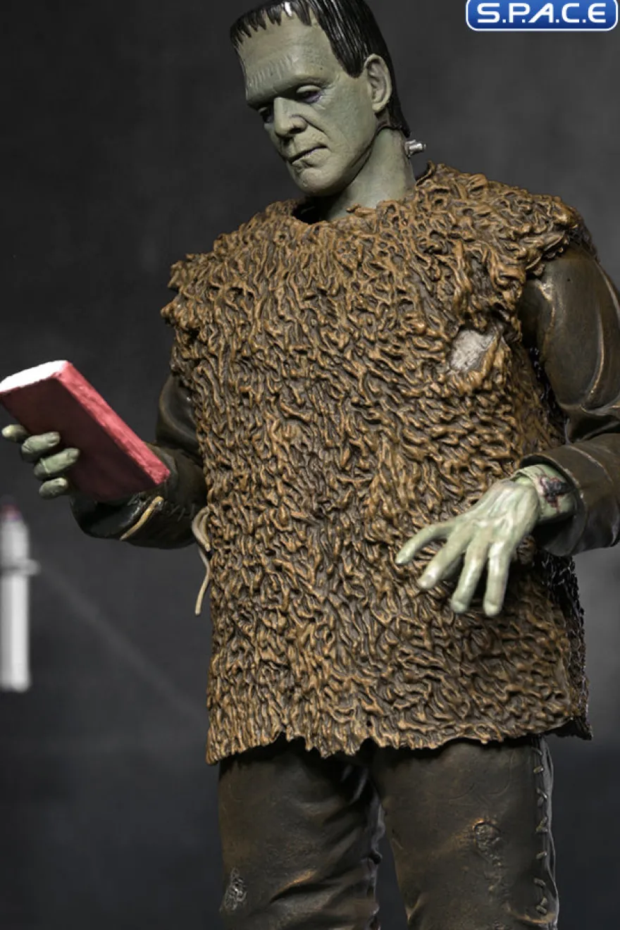 Ultimate Frankenstein's Monster