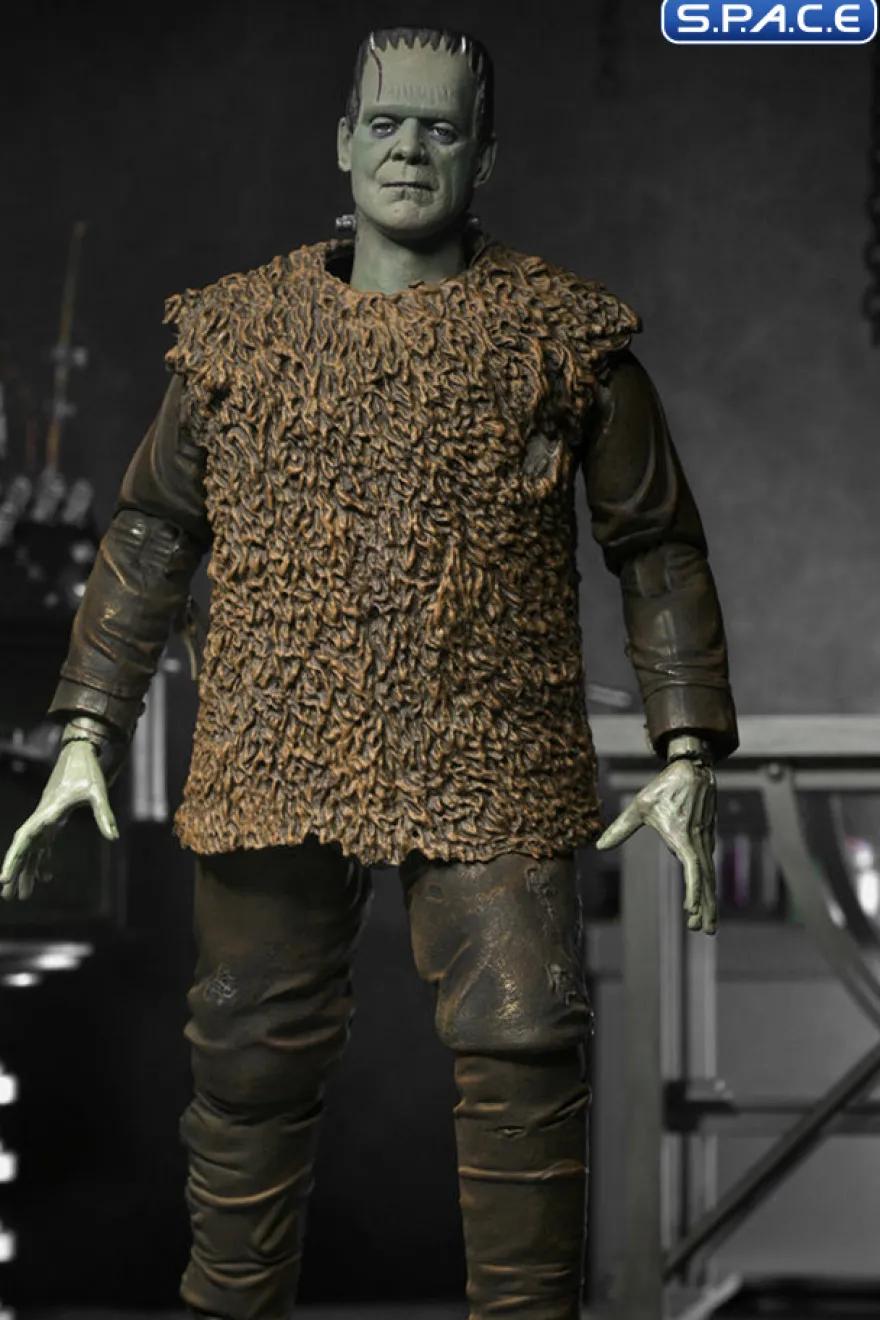 Ultimate Frankenstein's Monster