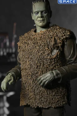 Ultimate Frankenstein's Monster