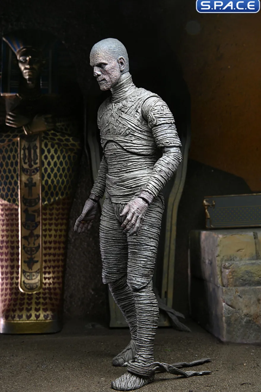 Ultimate Mummy - color ver.