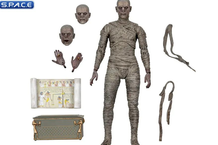 Ultimate Mummy - color ver.