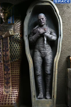 Ultimate Mummy - color ver.