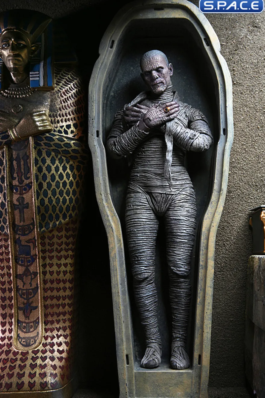 Ultimate Mummy - color ver.
