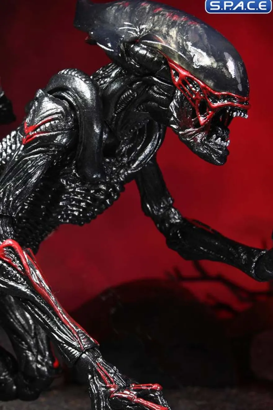 Ultimate Night Cougar Alien »Kenner Tribute«