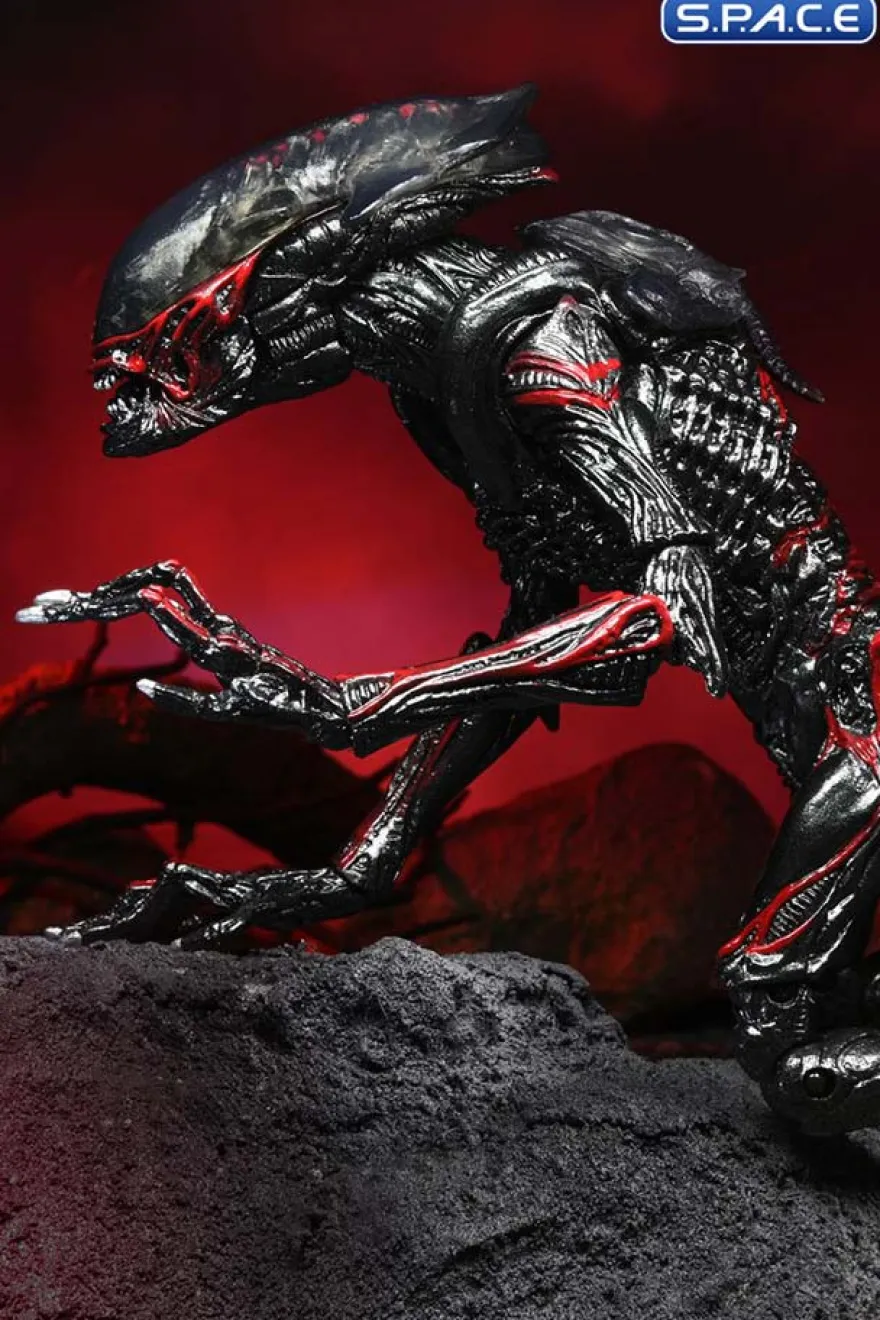 Ultimate Night Cougar Alien »Kenner Tribute«