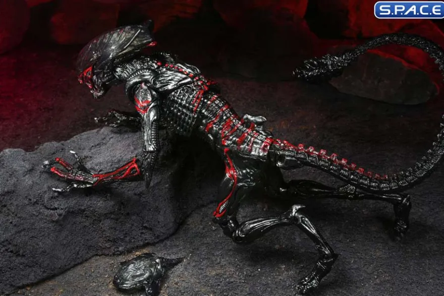 Ultimate Night Cougar Alien »Kenner Tribute«