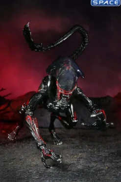 Ultimate Night Cougar Alien »Kenner Tribute«