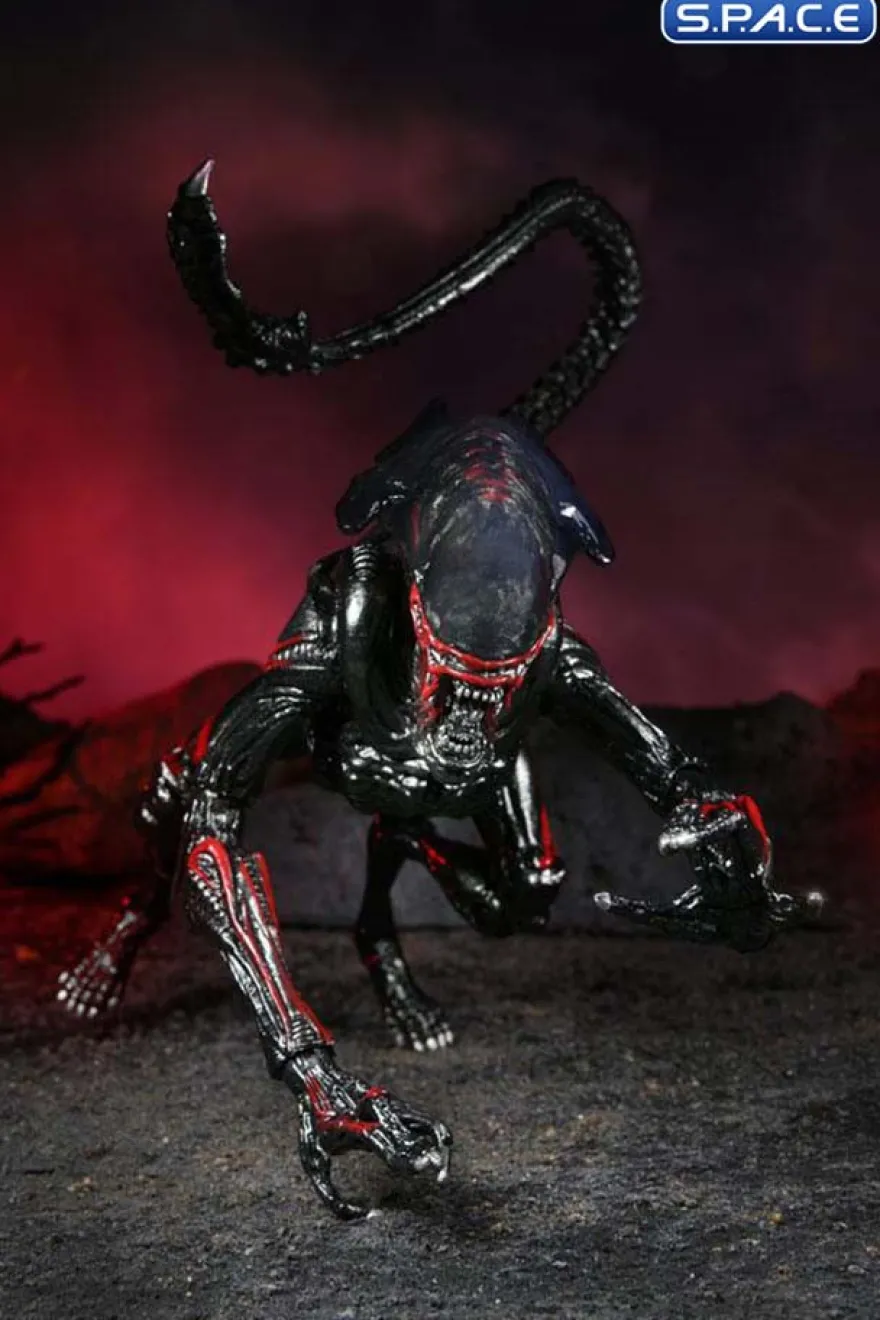 Ultimate Night Cougar Alien »Kenner Tribute«