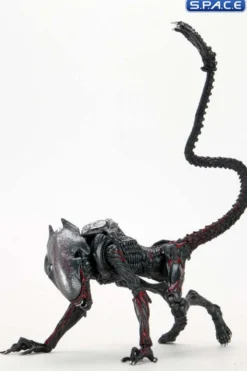Ultimate Night Cougar Alien »Kenner Tribute«