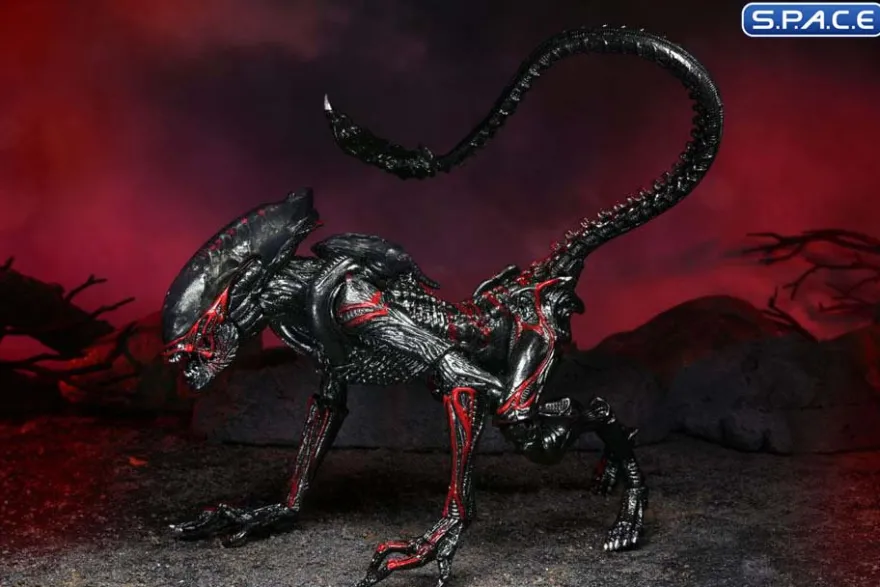 Ultimate Night Cougar Alien »Kenner Tribute«
