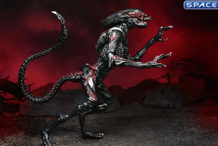 Ultimate Night Cougar Alien »Kenner Tribute«