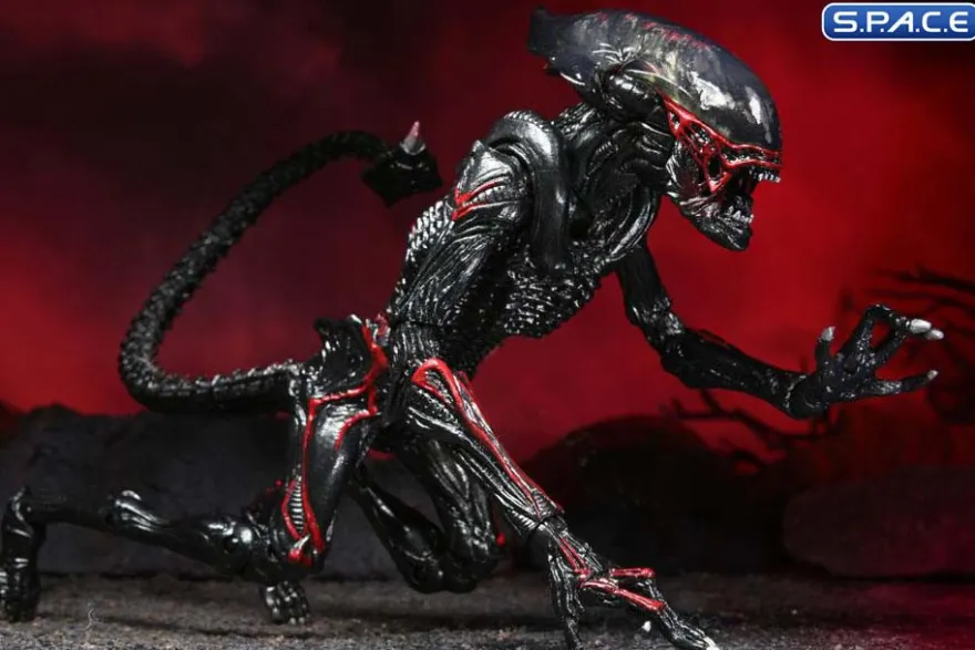 Ultimate Night Cougar Alien »Kenner Tribute«