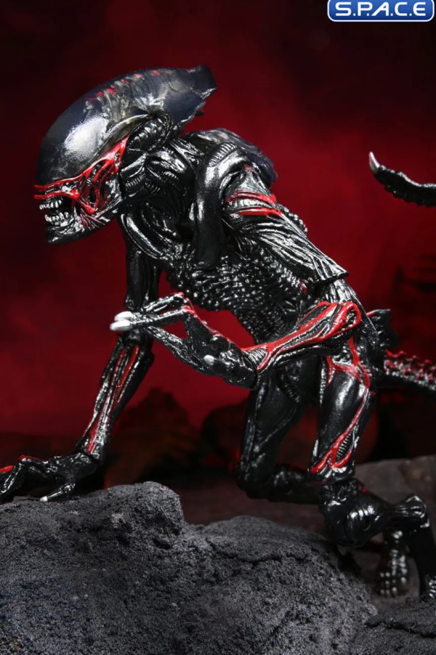Ultimate Night Cougar Alien »Kenner Tribute«