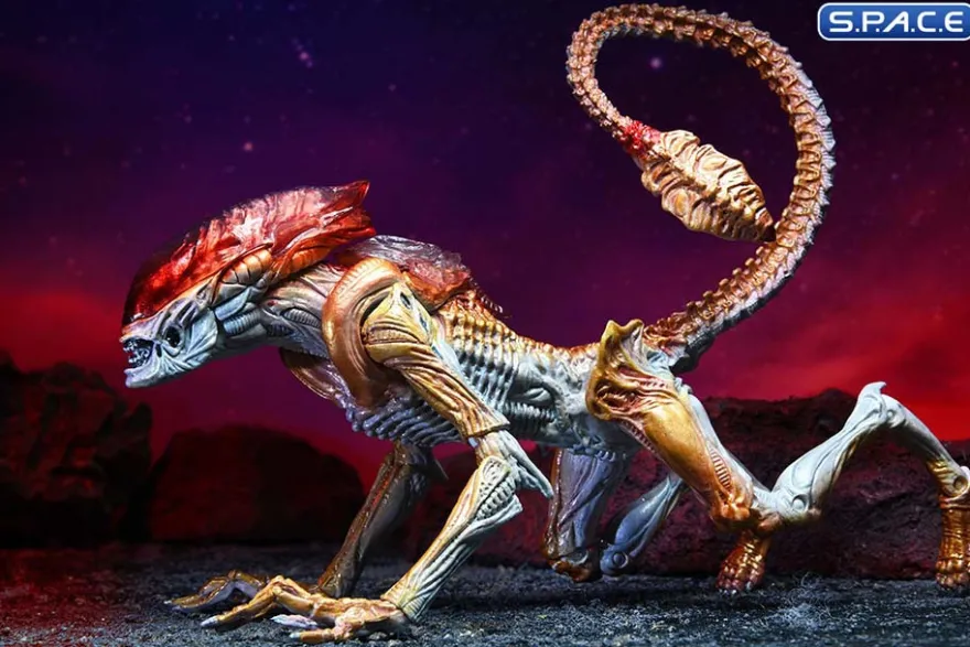 Ultimate Panther Alien »Kenner Tribute«