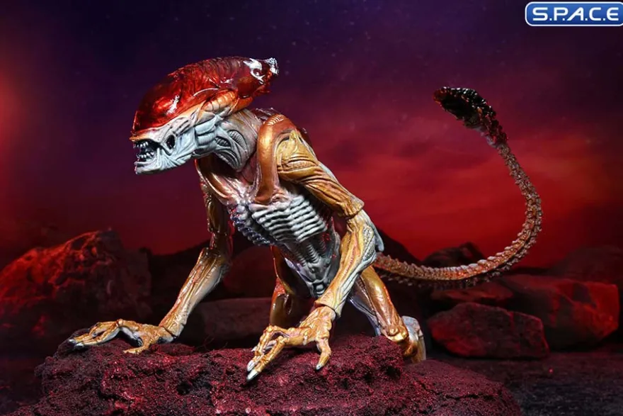 Ultimate Panther Alien »Kenner Tribute«
