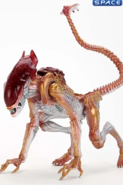 Ultimate Panther Alien »Kenner Tribute«