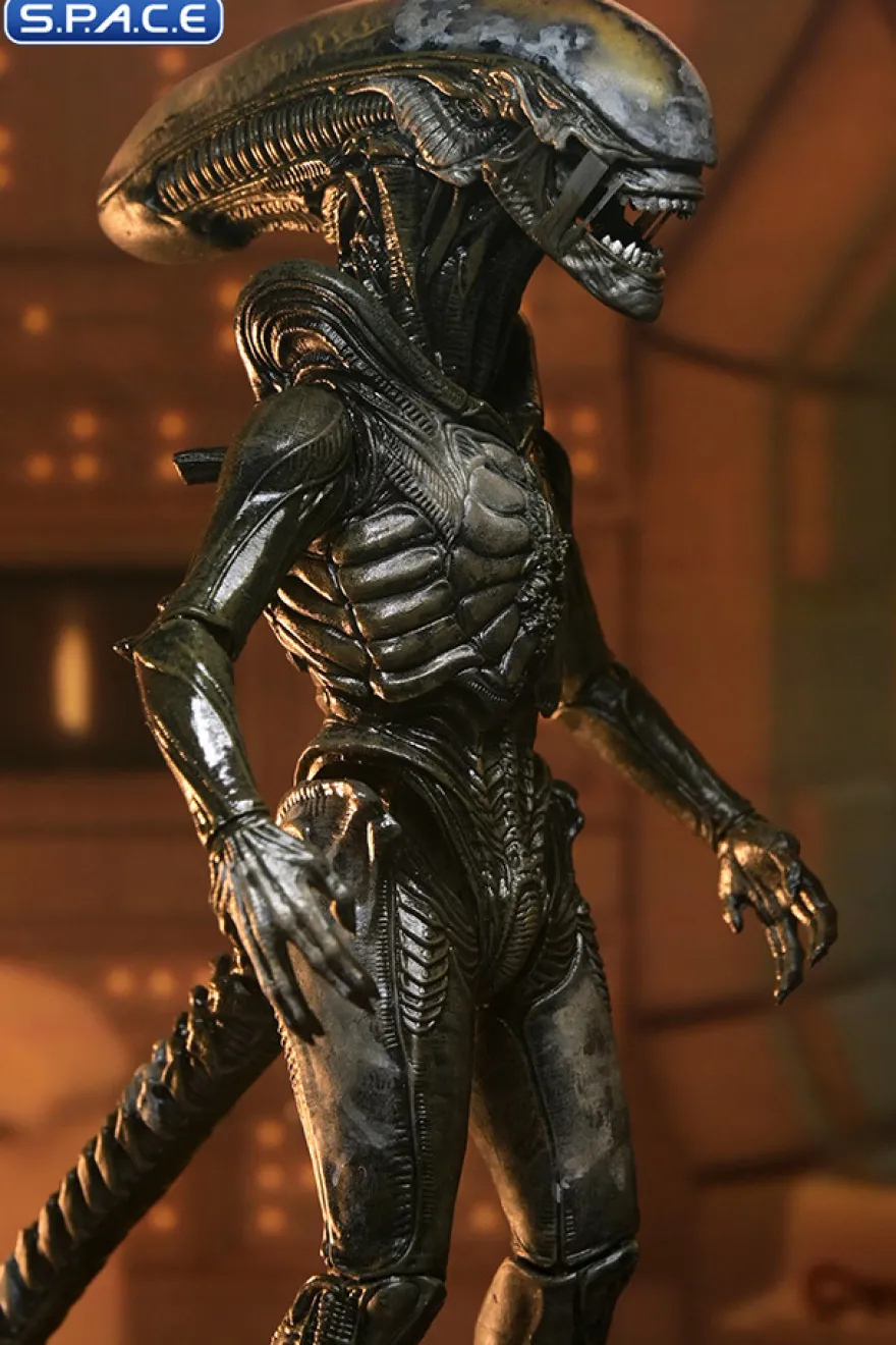 Ultimate Wendy's Xenomorph