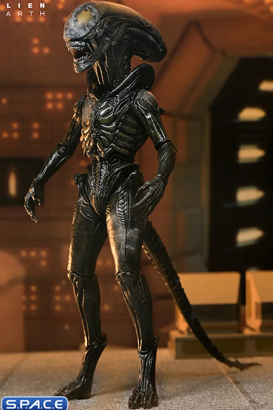 Ultimate Wendy's Xenomorph