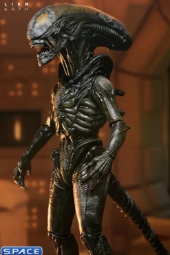 Ultimate Wendy's Xenomorph