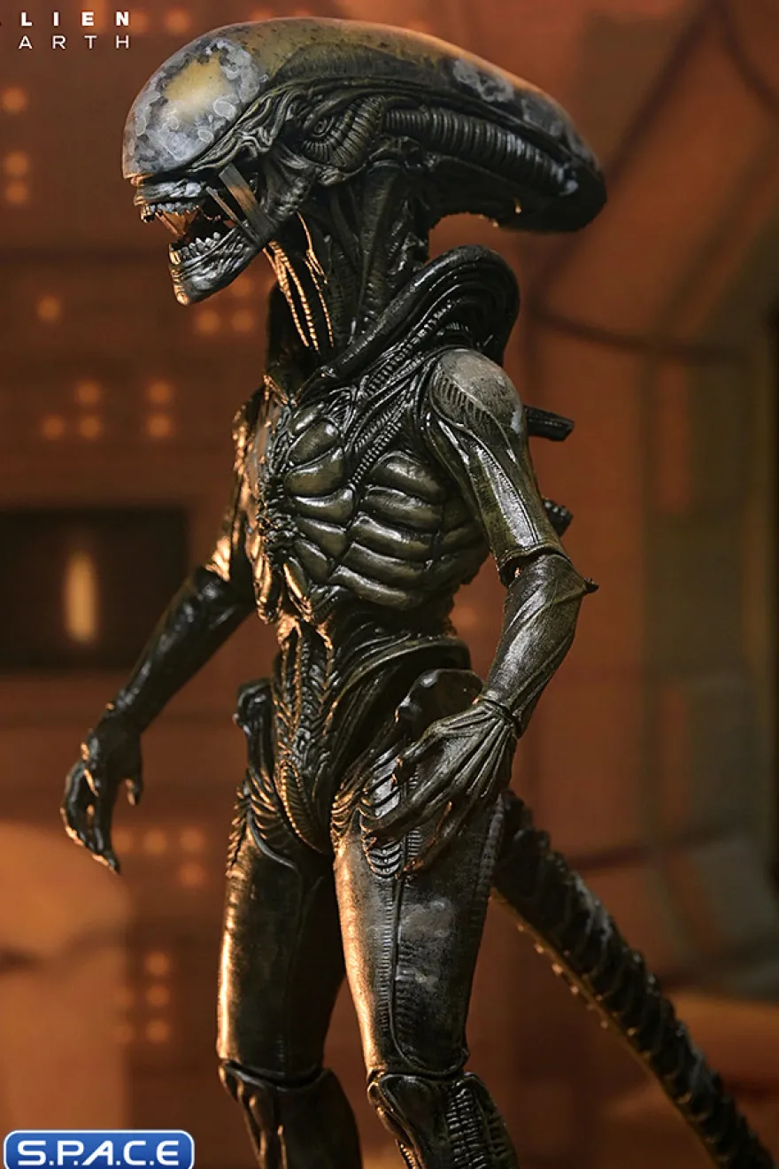 Ultimate Wendy's Xenomorph