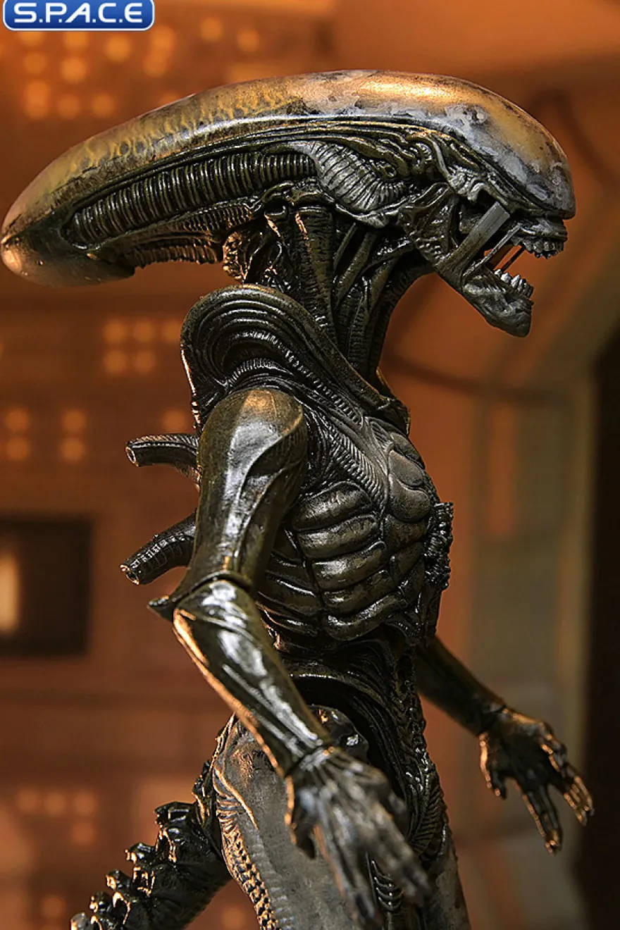 Ultimate Wendy's Xenomorph