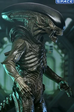 Ultimate Xenomorph