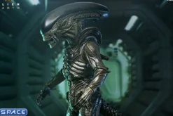 Ultimate Xenomorph