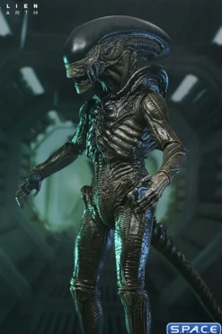 Ultimate Xenomorph