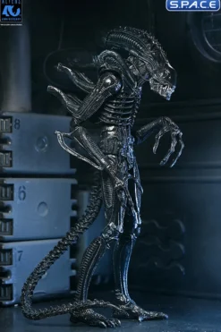 Ultimate Xenomorph Warrior - 40th Anniversary Version
