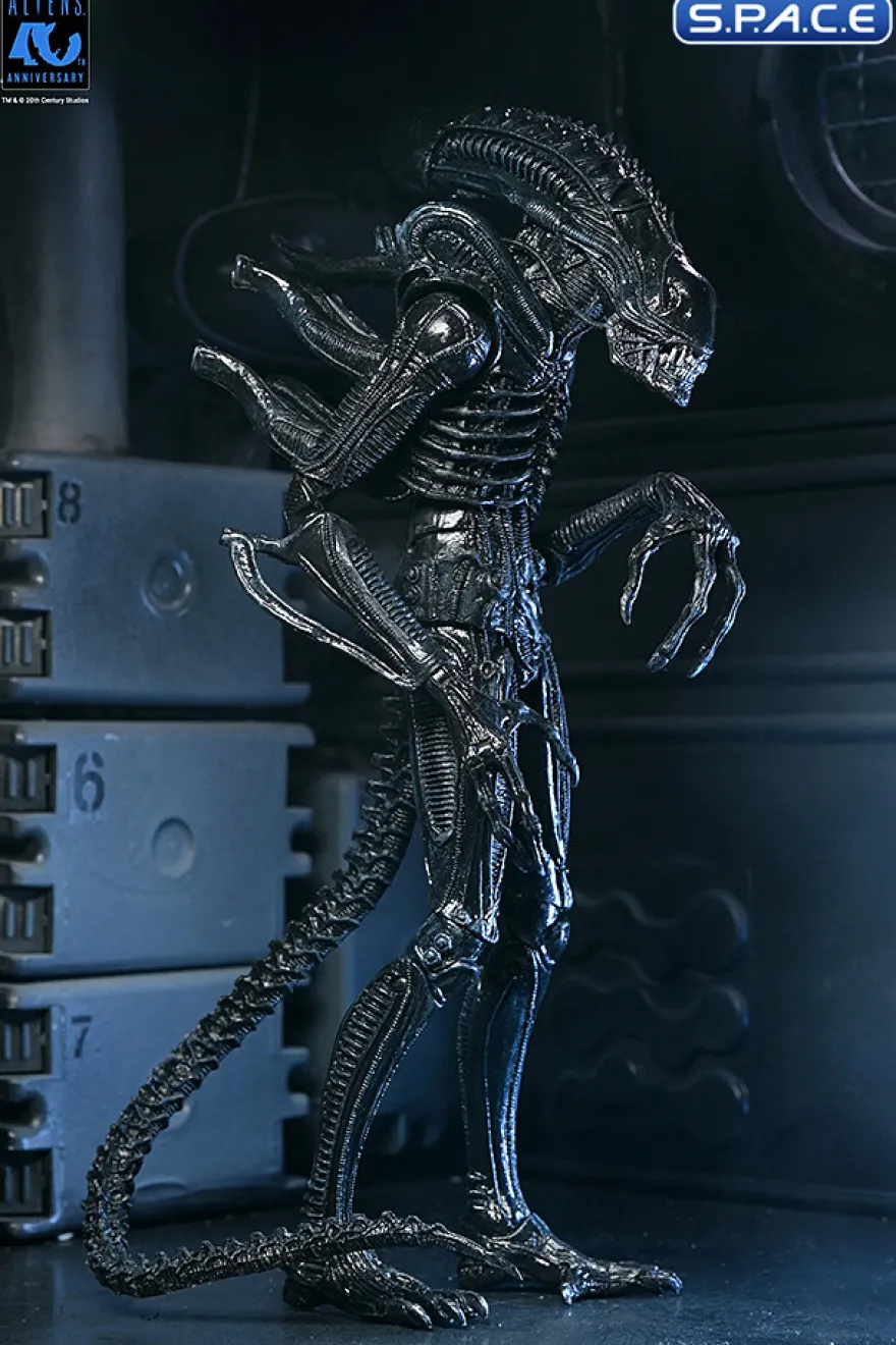 Ultimate Xenomorph Warrior - 40th Anniversary Version