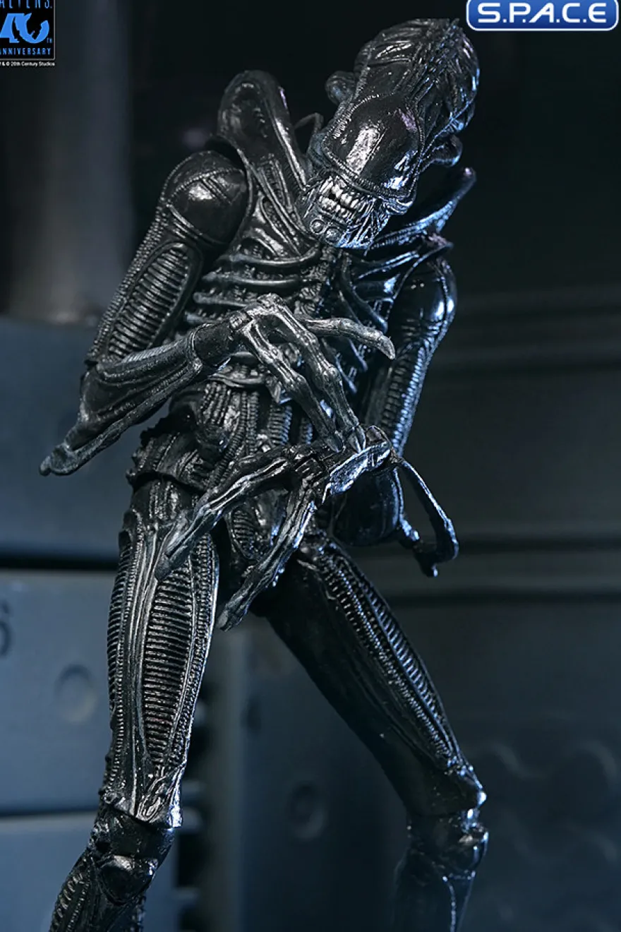 Ultimate Xenomorph Warrior - 40th Anniversary Version