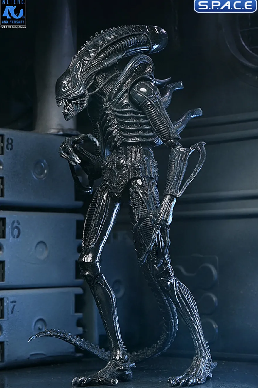 Ultimate Xenomorph Warrior - 40th Anniversary Version