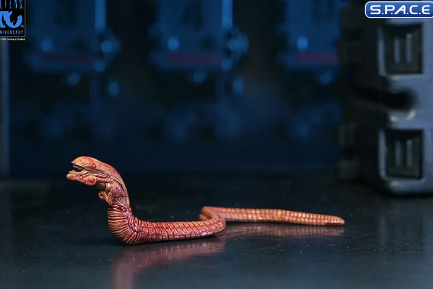 Ultimate Xenomorph Warrior - 40th Anniversary Version