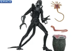 Ultimate Xenomorph Warrior - 40th Anniversary Version