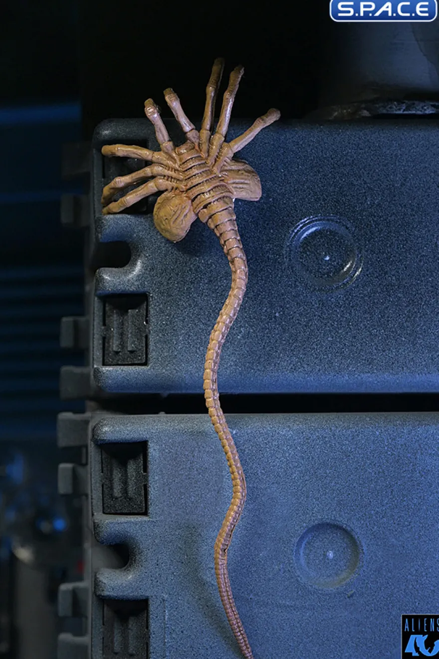 Ultimate Xenomorph Warrior - 40th Anniversary Version