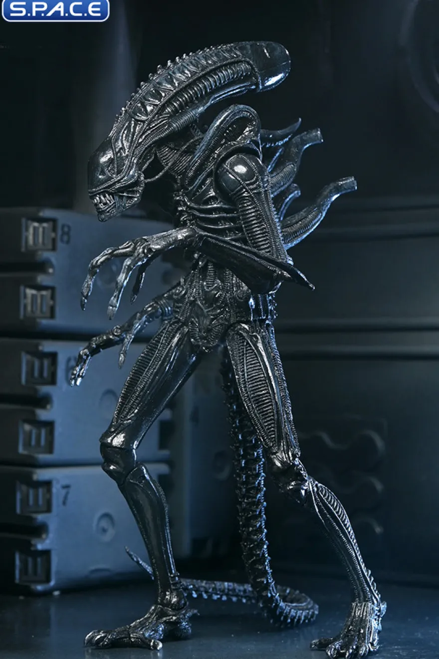 Ultimate Xenomorph Warrior - 40th Anniversary Version