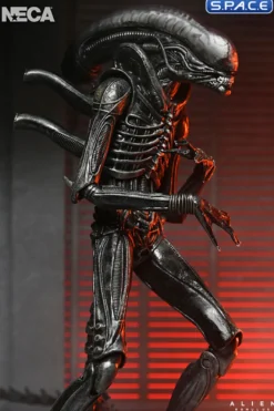 Ultimate Xenomorph XX121