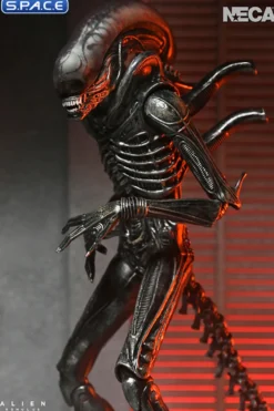 Ultimate Xenomorph XX121