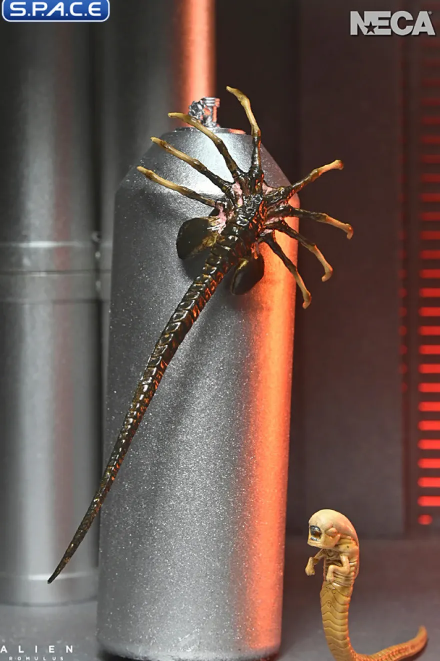 Ultimate Xenomorph XX121