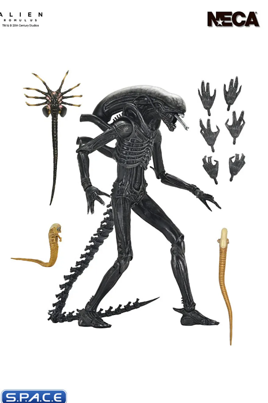 Ultimate Xenomorph XX121