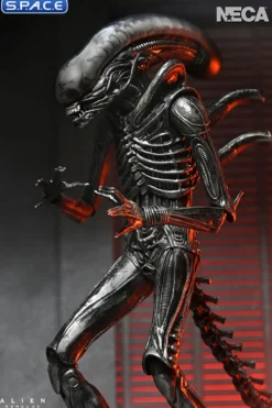 Ultimate Xenomorph XX121