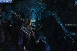 Ultra Deluxe Xenomorph Queen - 40th Anniversary Version