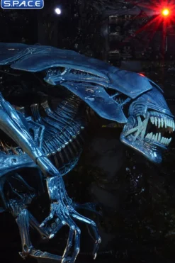 Ultra Deluxe Xenomorph Queen - 40th Anniversary Version