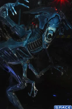 Ultra Deluxe Xenomorph Queen - 40th Anniversary Version